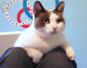 Reform für die Katz? IOC sieht sich selbst nicht als Problem.